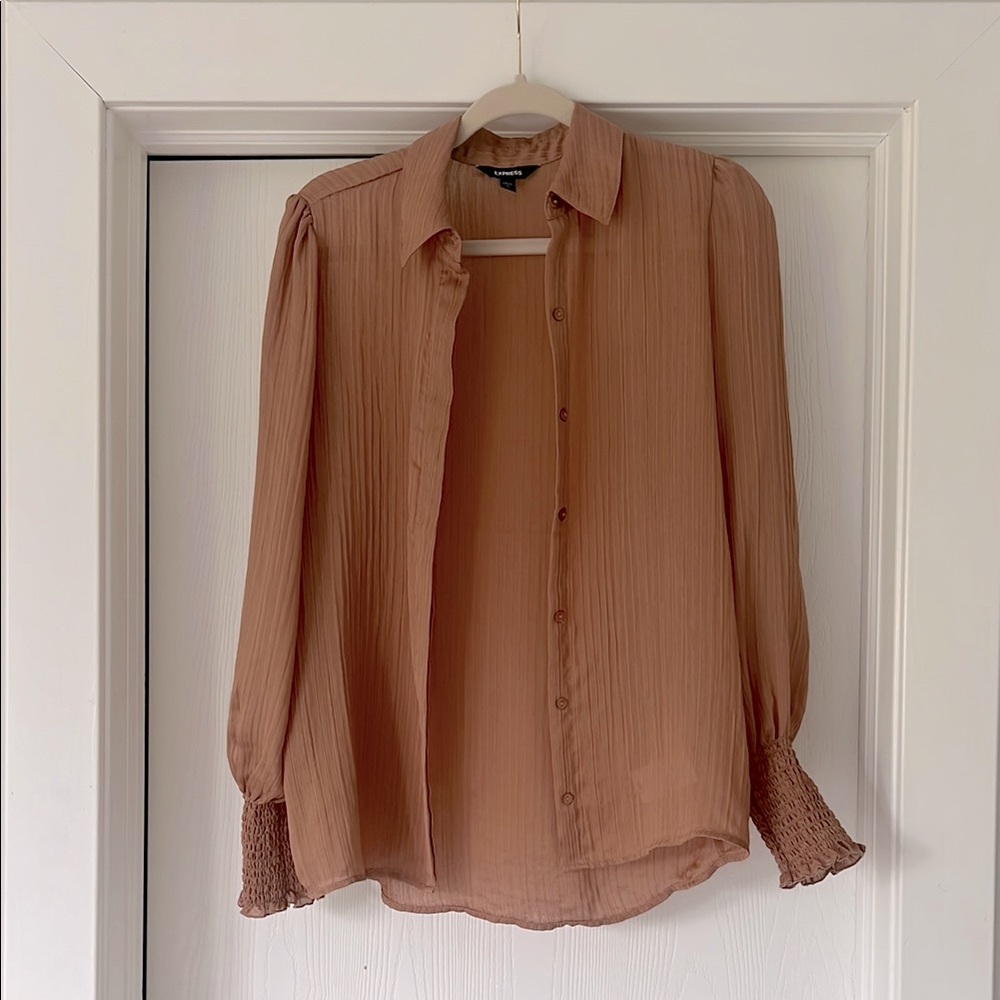 Express Button Up Mauve Blouse